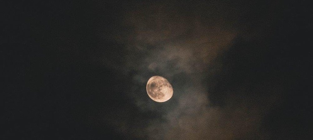 holocaust elie wiesel buch nacht